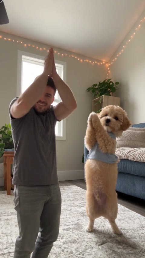 Mi Chico AI Dance man raising joined hands overhead while the dog lifts its paws